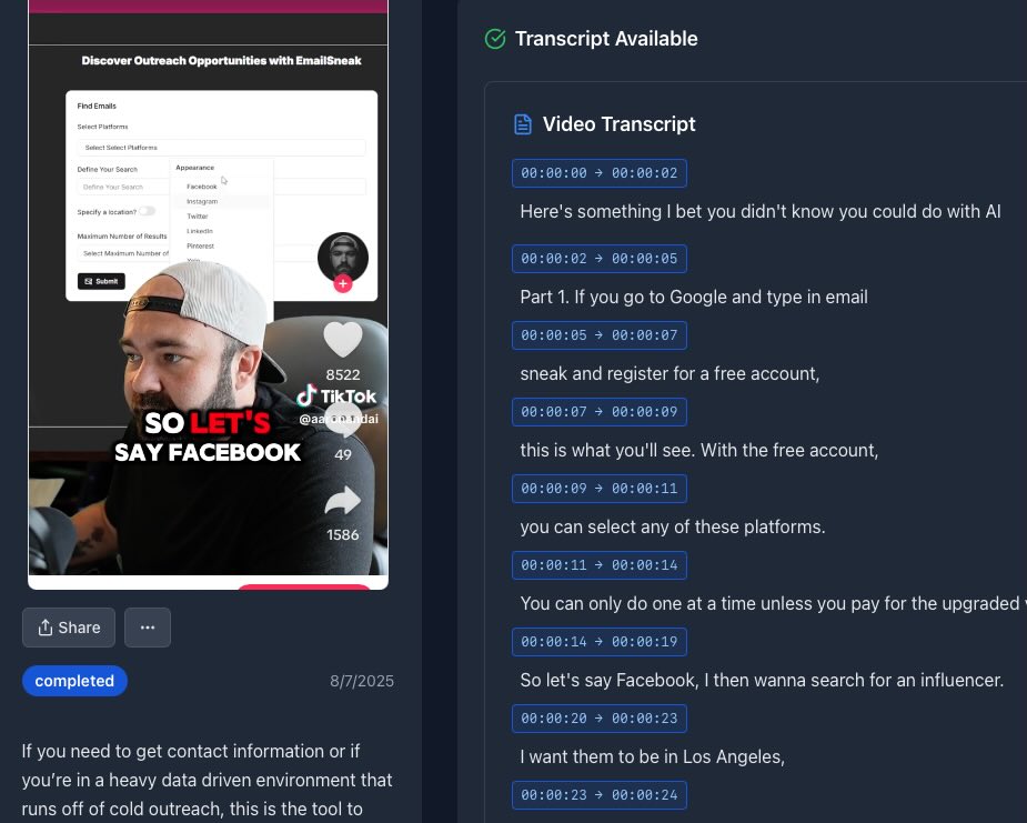 From Chaos to Clarity: What Quiki Found in 10,000+ TikTok Videos